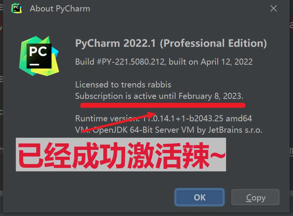 Pycharm 2022.1 成功激活至9999年截图2