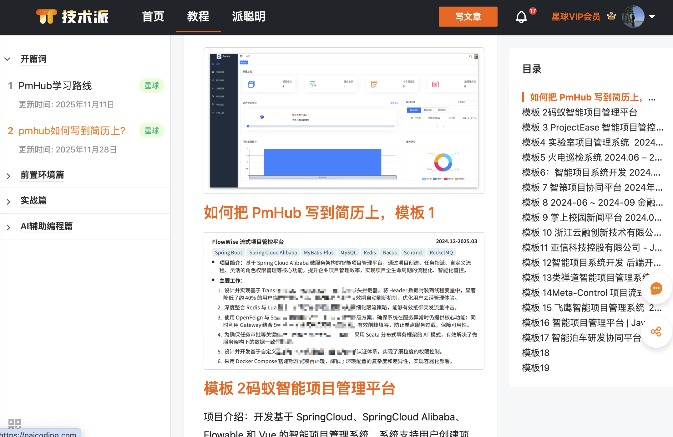 pmhub 如何写到简历上？