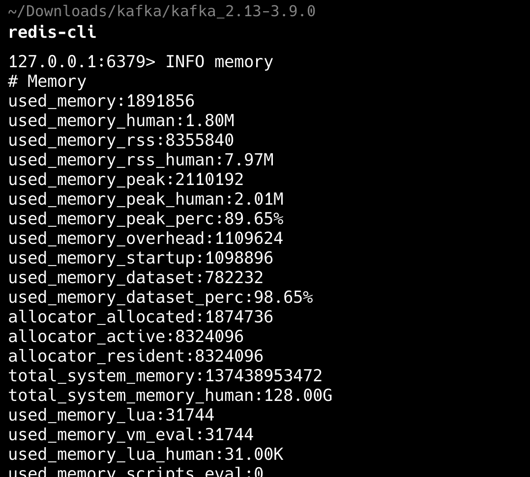 二哥的 Java 进阶之路:INFO memory